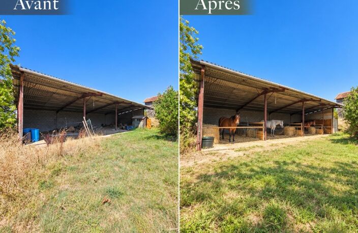 Maison en pierre  153 m²  4,58 ha  Piscine Dépendances — photo 5