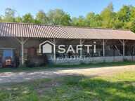 Très belle propriété avec hangar sur 2 hectares — photo 4