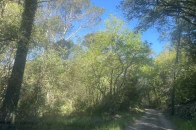 Terrain  193000 €