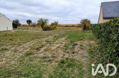 Terrain  49000 €