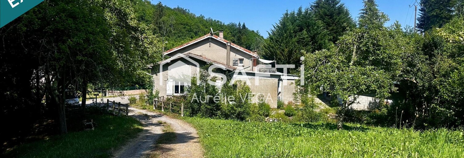 Maison 6 Pièces 239 m² à vendre à Montferrier (09300)