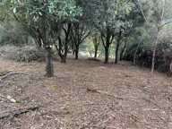 Terrain avec mazet — photo 3