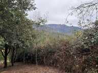 Terrain avec mazet — photo 4