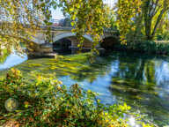 DOMAINE D'EXCEPTION 1,7 hectares AUX PORTES DE PARIS (28) — photo 3