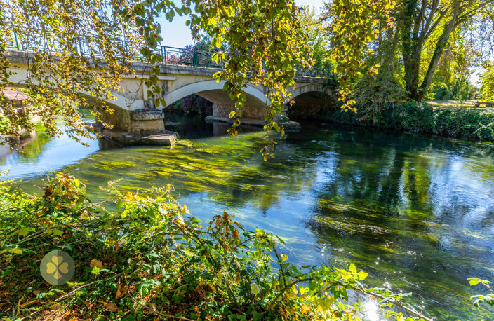 DOMAINE D'EXCEPTION 1,7 hectares AUX PORTES DE PARIS (28) — photo 3