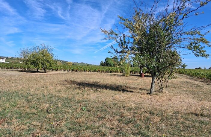 Location maison  149 m² à Crêches-sur-Saône (71680) — photo 3