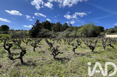 Terrain  74000 €