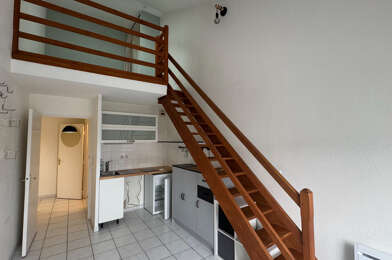 Appartement 1 pièces 530 €