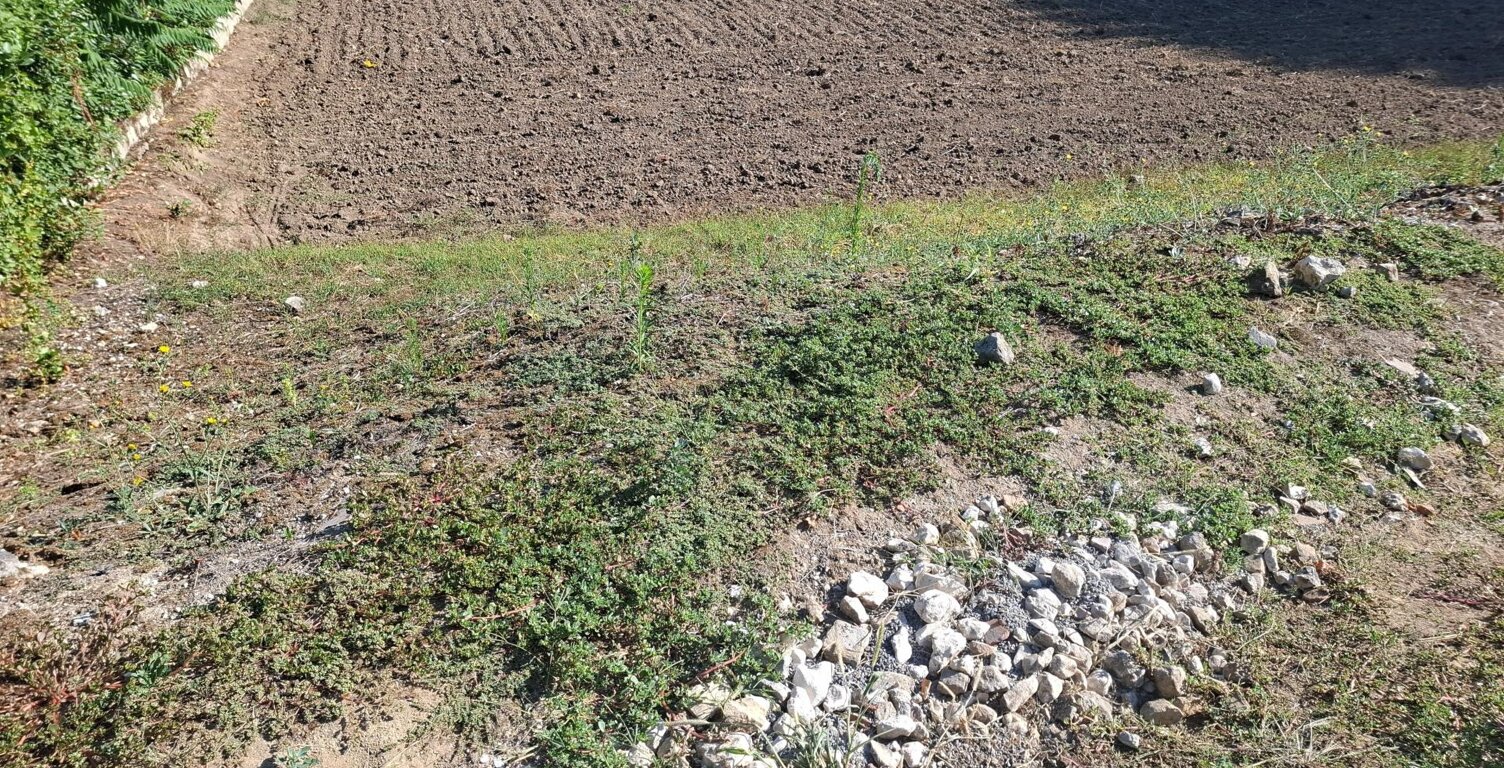 Terrain - 1118m² — photo 1