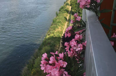 Appartement - 71.16m² - Rouen — photo du bien
