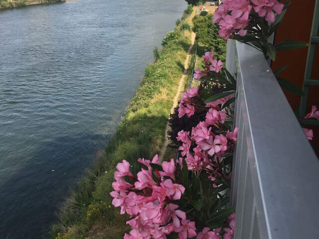 Appartement - 71.16m² - Rouen — photo du bien