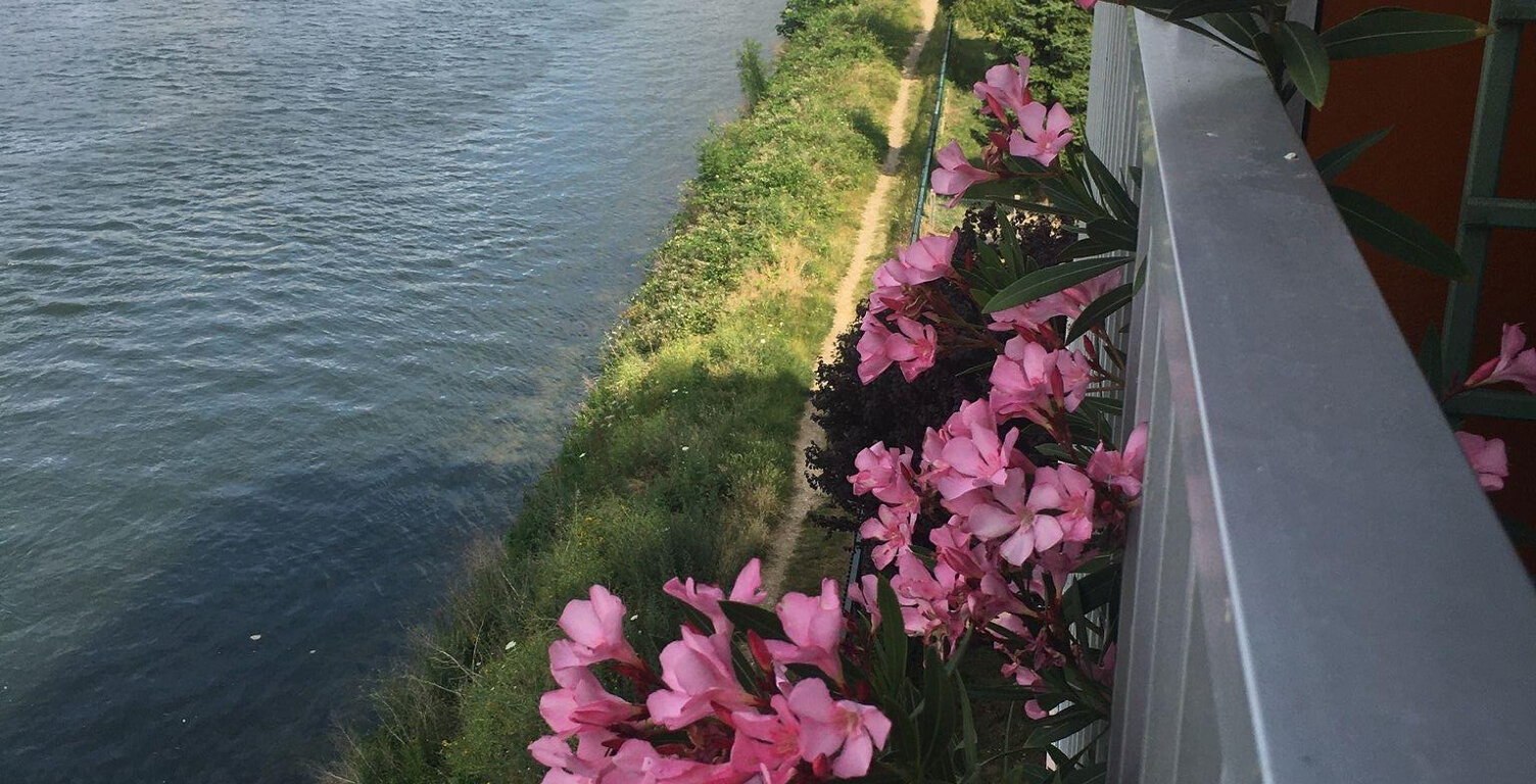 Appartement - 71.16m² - Rouen — photo 1