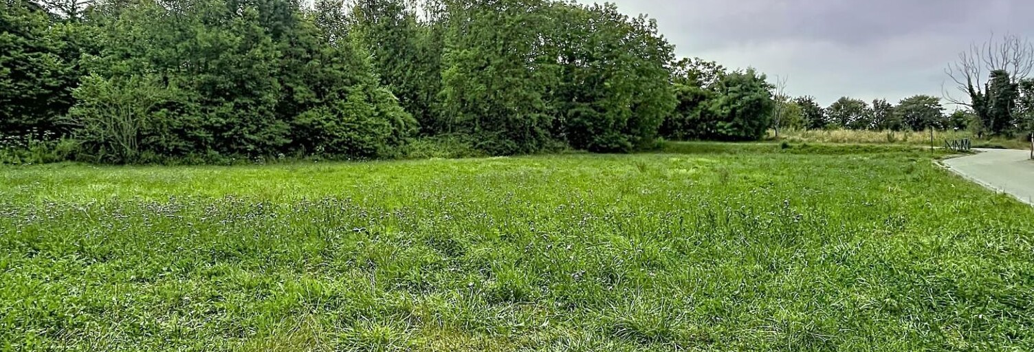 Terrain  4804 m² à vendre à Loisy-sur-Marne (51300)