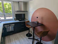 APPARTEMENT 2 chambres   QUARTIER SURVILLE   ENTIÈREMENT RÉN — photo 4