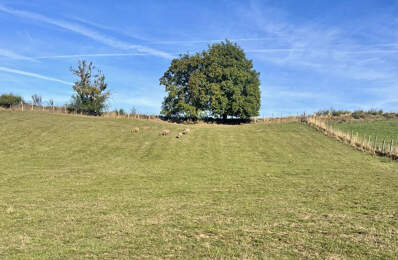 Terrain — photo du bien