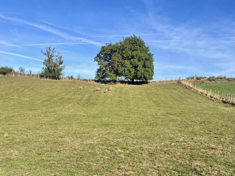 Terrain — photo 1