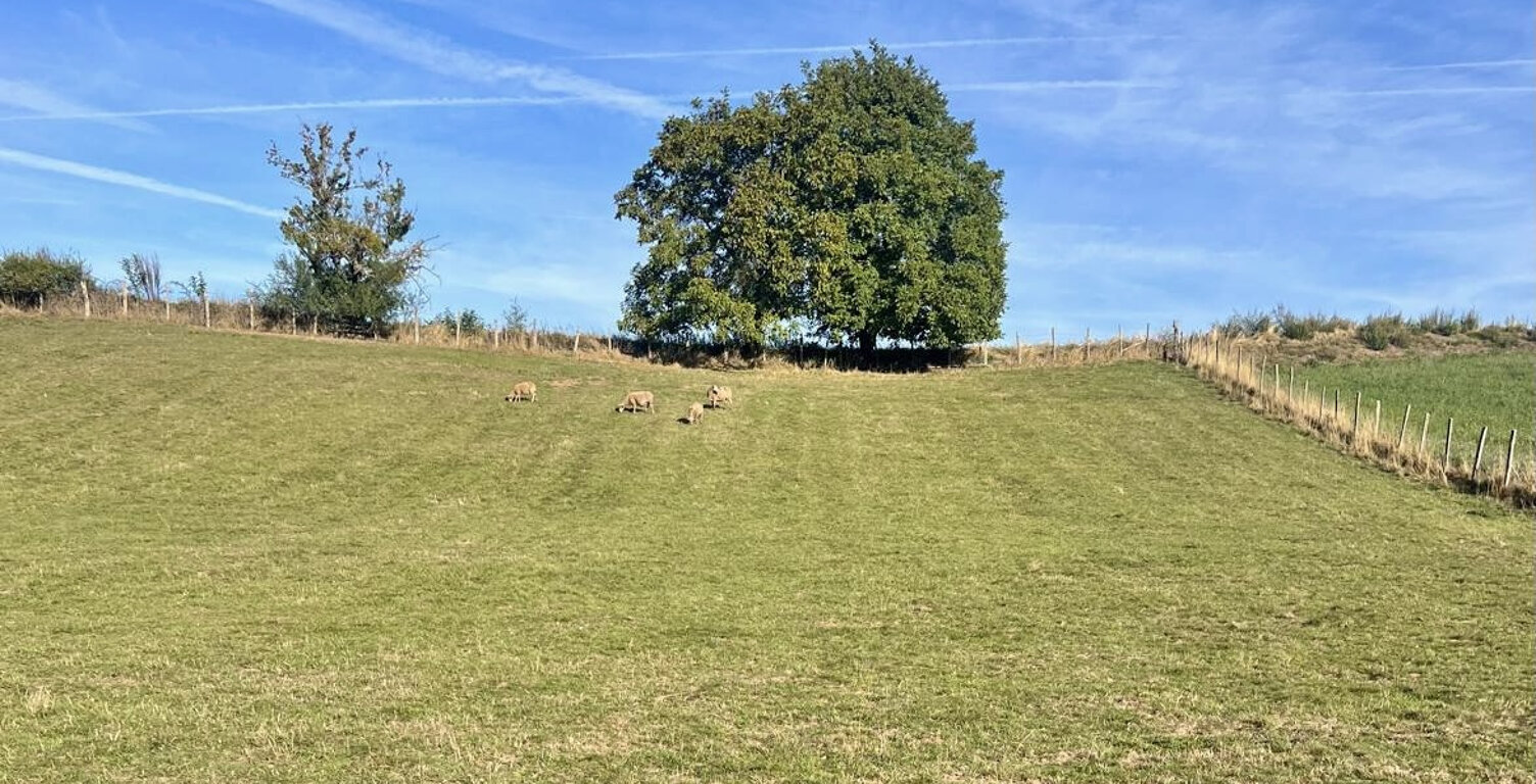 Terrain — photo 1