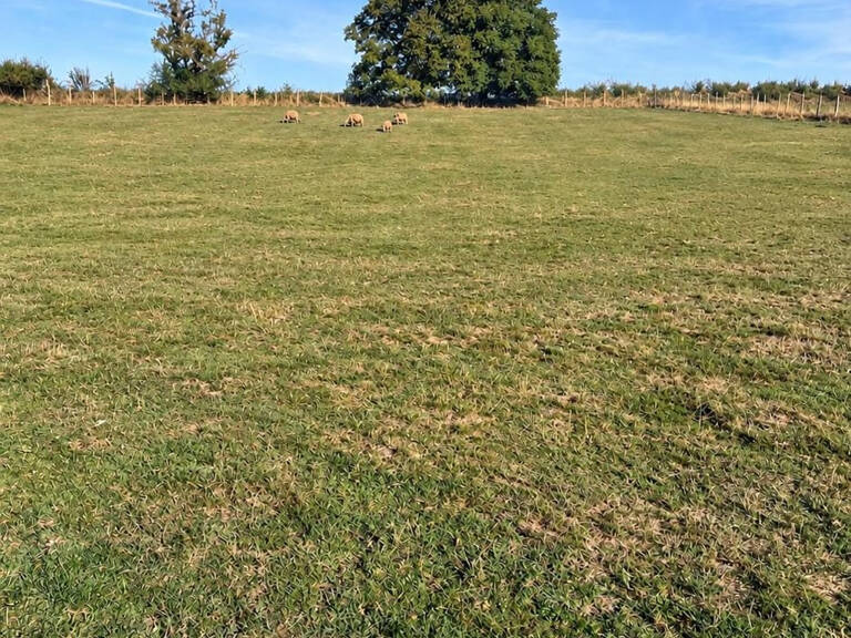 Terrain 1900 m2 CHÂTONNAY — photo 1