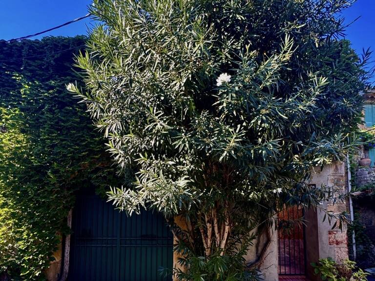 Vente Maison de village 4 pièces — photo 1