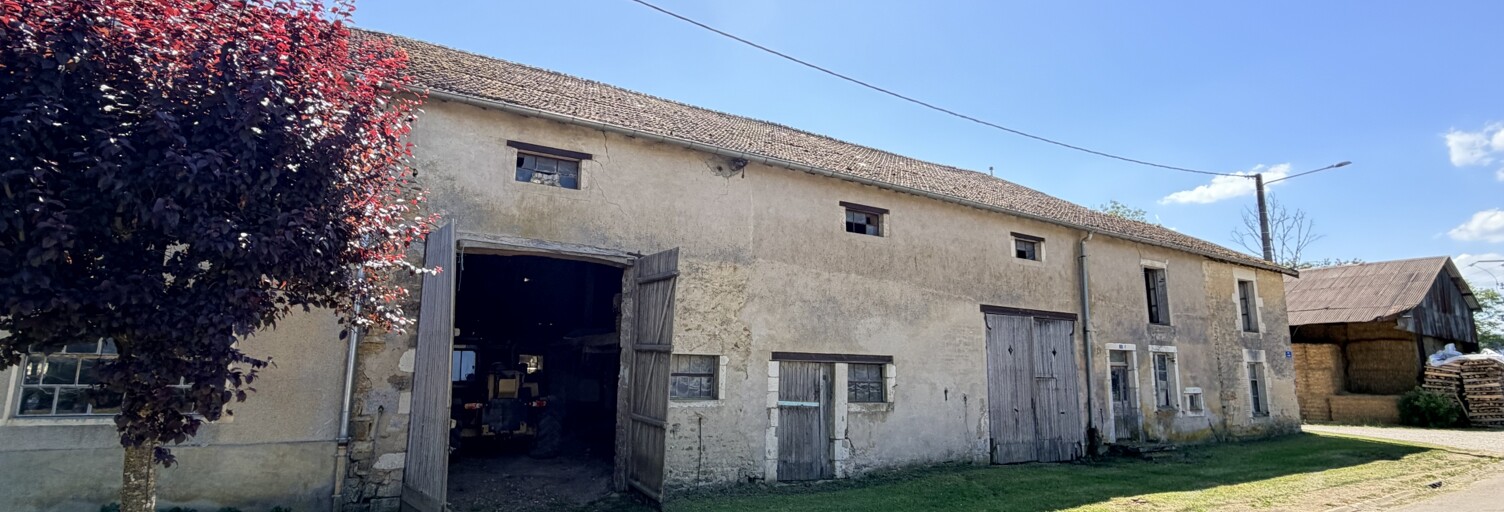 Maison 5 Pièces 343 m² à vendre à Breuvannes-en-Bassigny (52240)