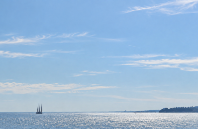 CANNES BAS MONTFLEURY RARE ! T3 85M2 REFAIT À NEUF VUE MER T — photo du bien