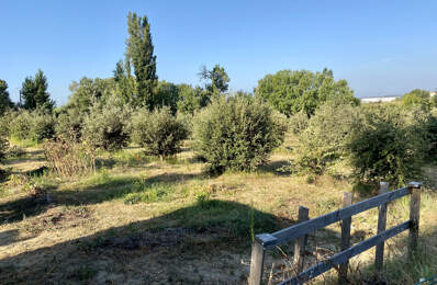 terrain truffier, safran, verger — photo du bien