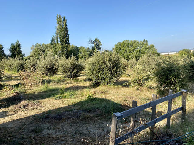 terrain truffier, safran, verger — photo du bien