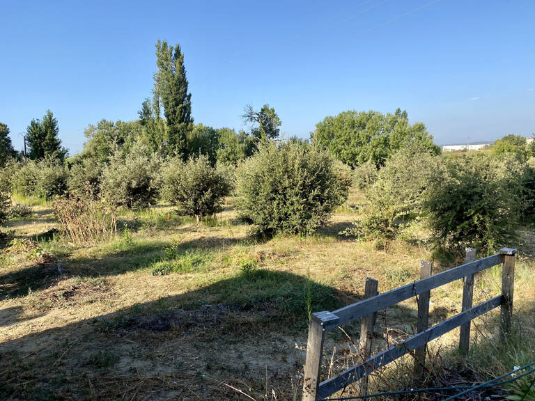 terrain truffier, safran, verger — photo 1
