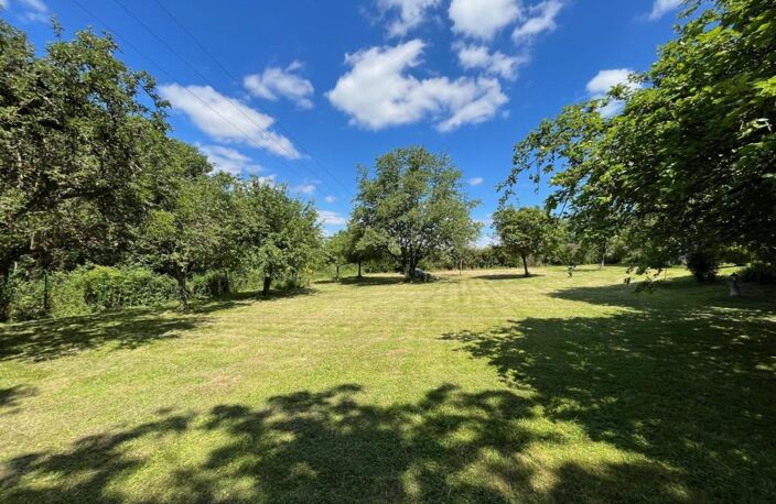 230 M² HABITABLE, GARAGE DE 150 M² ET TERRAIN DE 3735 M² A LA FERTE SOUS JOUARRE — photo 2