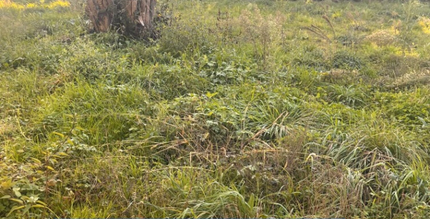 Terrain à bâtir à La Sauve (33670) — photo 1