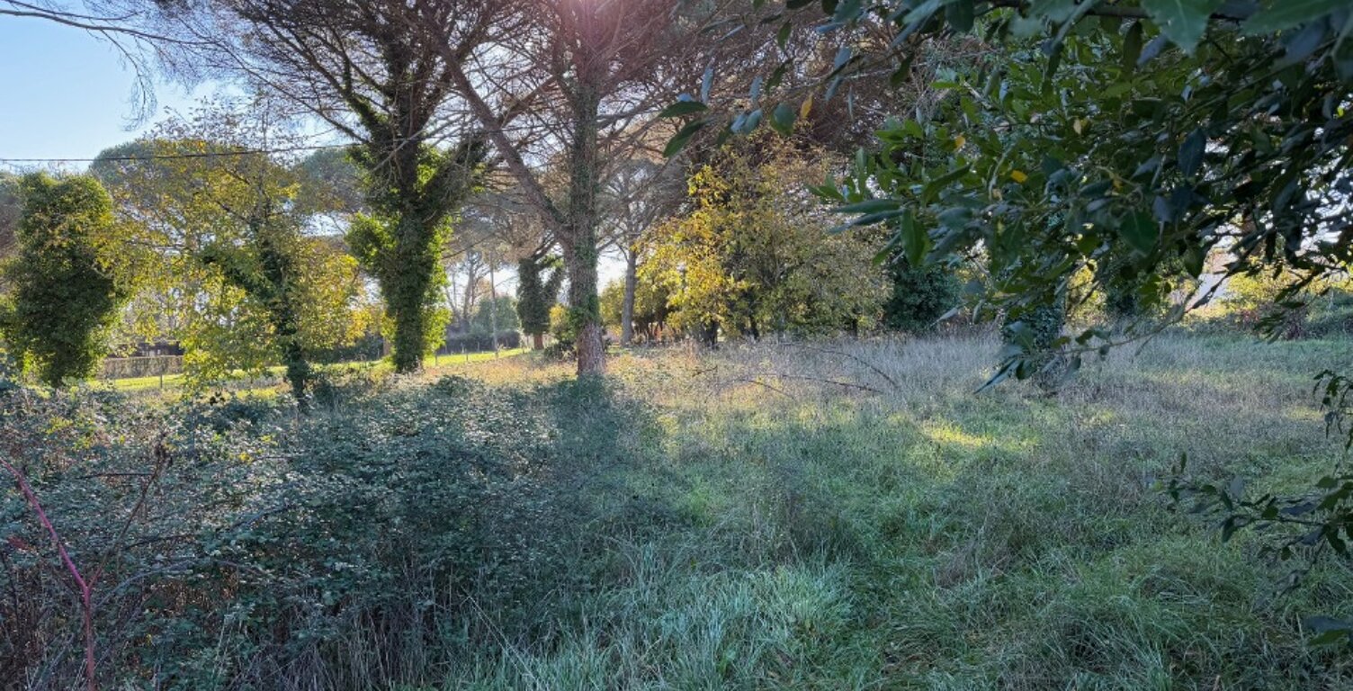 Terrain à bâtir à Saint-Maixant (33490) — photo 1