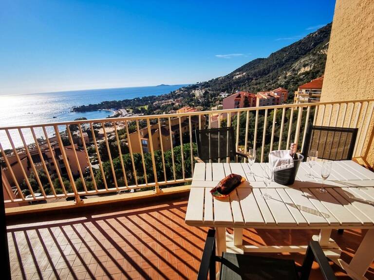 Studio de 31m2 à louer sur Ajaccio — photo 1