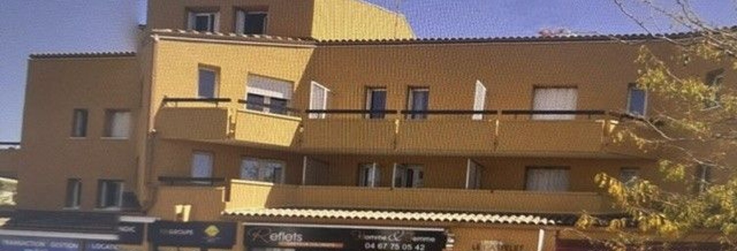 Appartement 1 Pièce 27 m² à louer à Montpellier (34000)