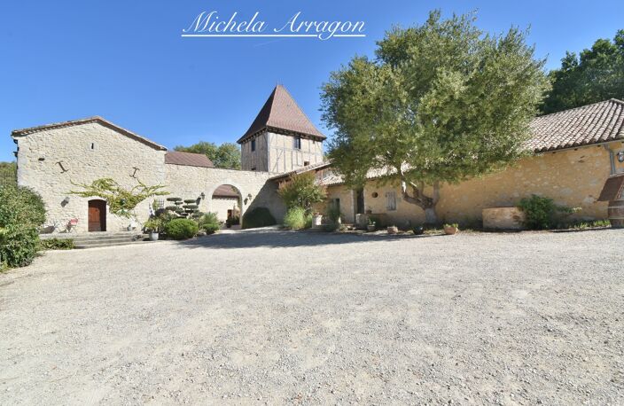 Propriete à vendre 20 pièces PINEL HAUTERIVE (47) — photo 3