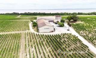 Maison 12 Pièces 1357 m² à vendre à Saint-Yzans-de-Médoc (33340)