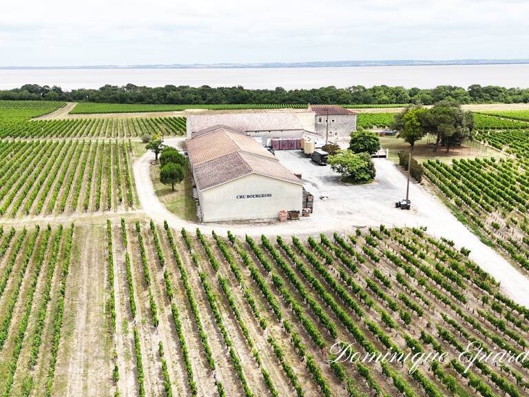 Exclusivité À VENDRE Vignoble Cru Bourgeois Médoc Vue exceptionnelle — photo 1