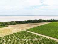 Exclusivité À VENDRE Vignoble Cru Bourgeois Médoc Vue exceptionnelle — photo 2