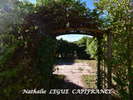 VENDEE ( 85 ) Maison à vendre 10 pièces LA BARRE DE MONTS Proche MER, PLAGES ,FORET,  NOIRMOUTIER, 153 m² ,5 chambres, 3 WC , 2 salles d'eau , 1 salle de bains 1871m² terrain clos , puits, garage — photo 4