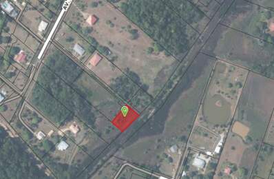 Terrain constructible de 1615 m² - Les Jardins de Sainte Agathe - MACOURIA (973) — photo du bien