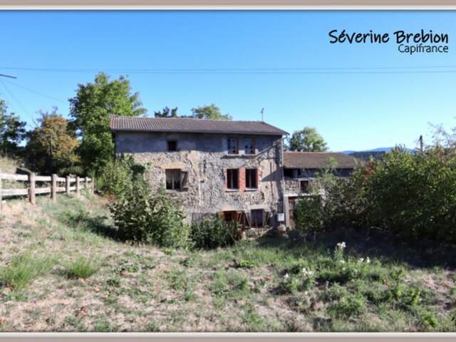 Maison 4 chambres, 3 granges, terrain de 1200 m², CELLES SUR DUROLLE (63) — photo du bien
