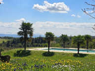 Propriété d'Exception Rénovée – 7.5 hectares - Étang privée - vue panoramique - Piscine - Source — photo 3