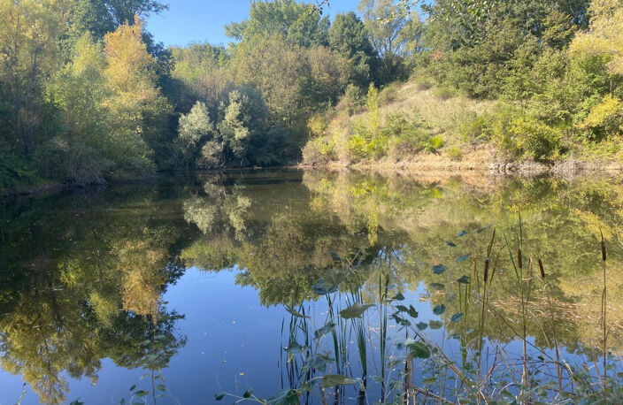 Propriété d'Exception Rénovée – 7.5 hectares - Étang privée - vue panoramique - Piscine - Source — photo 5