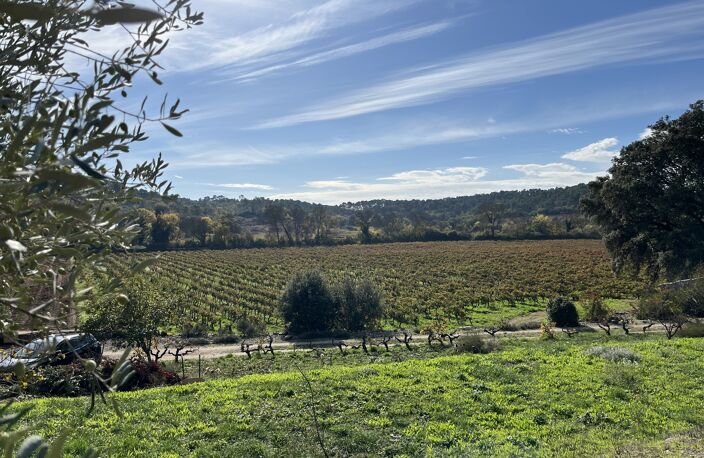 Vente terrain à construire 1200 m² Flassans-sur-Issole (83340) — photo 2