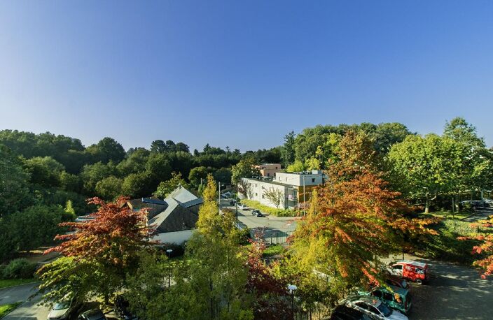 Studio au calme avec vue arborée — photo 4