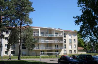 Appartement Limoges 2 pièces 35 m2 — photo du bien