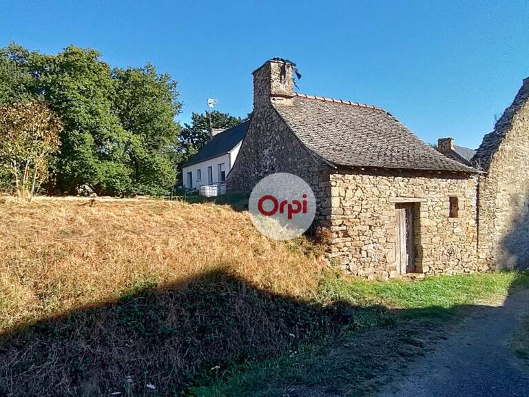 Maison en pierres à reconstruire - Terrain 3 890 m² - Peillac (Morbihan) — photo 1