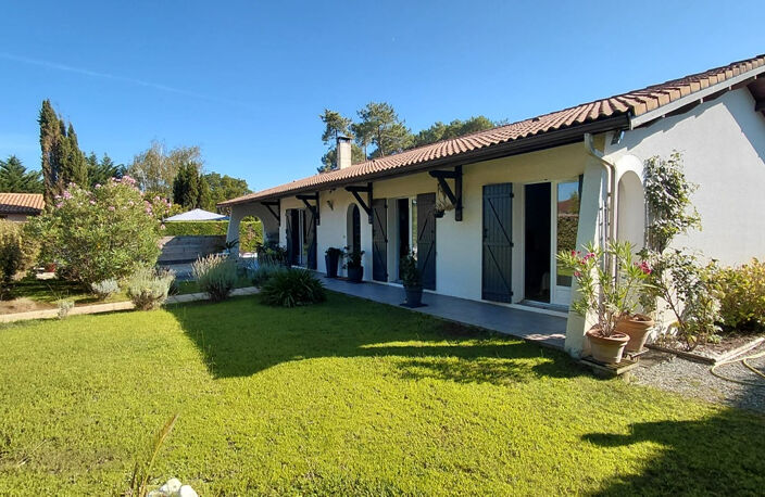 Maison p-pied, 4 chambres, piscine — photo 4