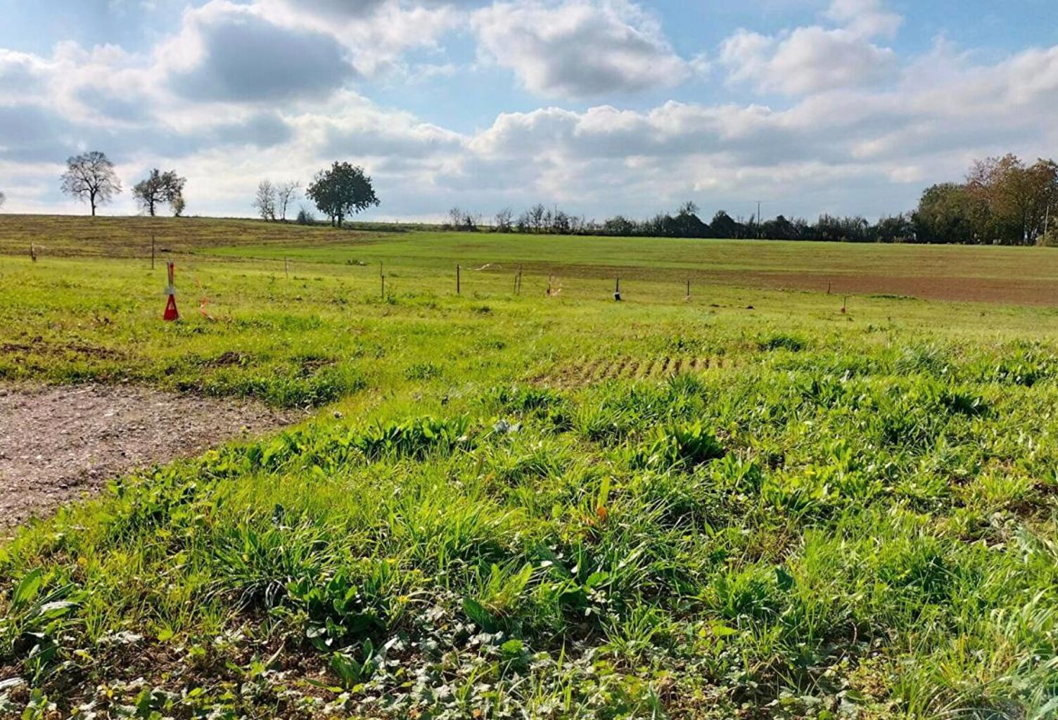 Terrain 1989m² Fleurance (32500) 843m² constructible — photo 1