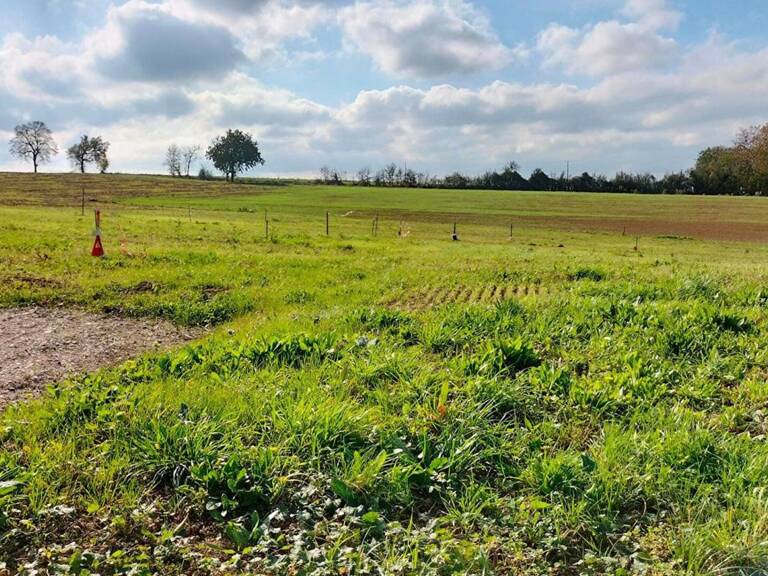 Terrain 1989m² Fleurance (32500) 843m² constructible — photo 1