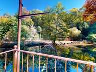 AUDE - GITES - DOMAINE - RESTAURANT- 4 HECTARES — photo 4